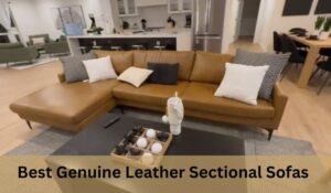 Best Genuine Leather Sectional Sofas